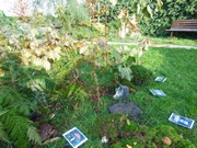 Výlet do Ekocentra MB - Spižírna